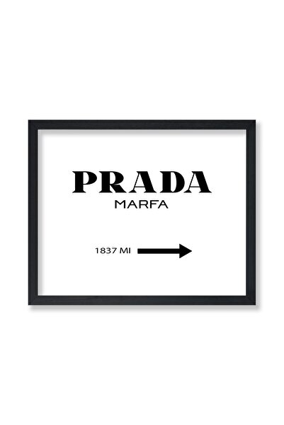 ALAYRA International ملصق ألايرا - ملصق شعار العلامة التجارية الفاخرة - طباعة...