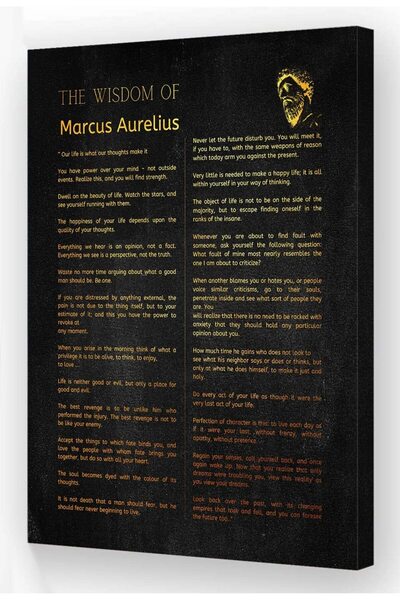 ALAYRA International ملصق ألايرا نيتييدي ماركوس أوريليوس، مطبوعات فنية جدارية مستوحاة من صور ملهمة مؤطرة على قماش، مطبوعات كلاسيكية