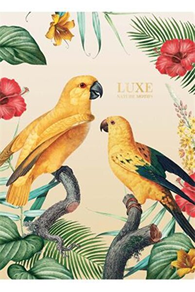 SHKOLYARYK Caiet pentru elevi (9176) A4 40 de coli Dictando