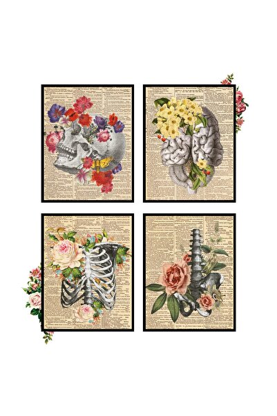 ALAYRA International فن التشريح من ألايرا، لوحات جدارية تشريحية، ديكور جداري ...