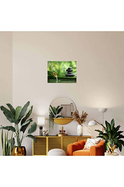 ALAYRA International ALAYRA Spa Still Life Canvas Wall Art, Zen Stone Picture...