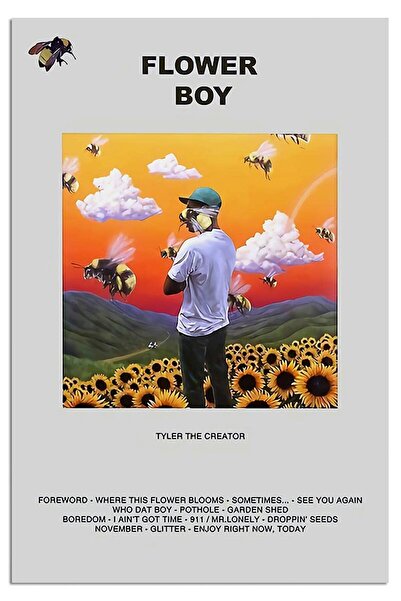 ALAYRA International ملصق ألايرا، ملصق فتى الزهور، تايلر ذا كريتور، لوحة جدارية قماشية لتزيين غرفة المعيشة