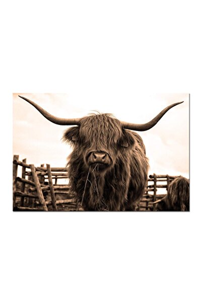 ALAYRA International ALAYRA Animal Canvas Wall Art Sepia Highland Cow Picture...