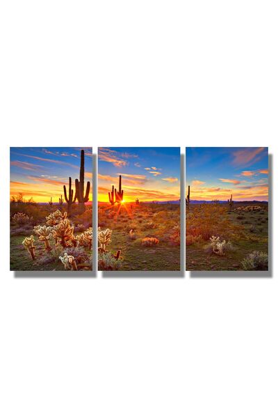 ALAYRA International لوحات جدارية من جنوب غرب أمريكا الشمالية من ALAYRA، لوحات جدارية من كارنيجيا جيجانتيا، ملصقات فنية جدارية على قماش