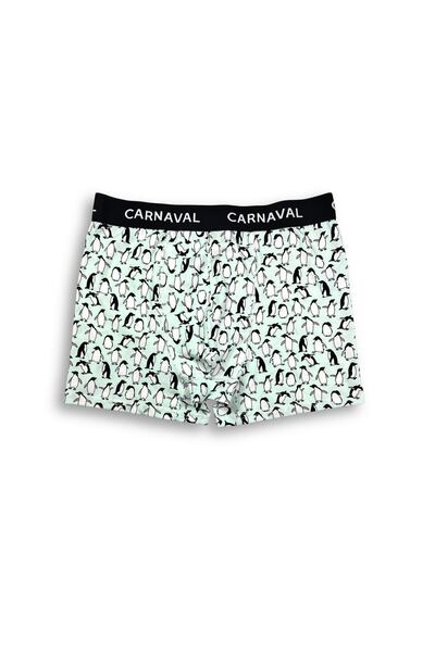 CARNAVAL SOCKS Carnaval Penguin Patterned Premium Cotton Men's Boxer - Light Blue Color