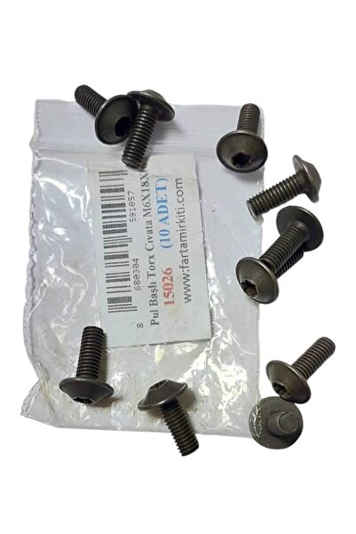 SAY Pİ Pul Başlı Torx Cıvata M6X18X16 (10 ADET) 15026