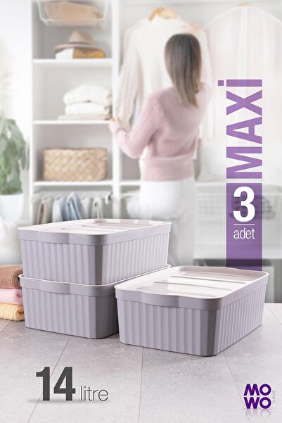 Mowo Home Maxi 3-Piece Gray 14 Lt Multi-Purpose Closet Organizer Box with Lid, Decorative Box, Organizer