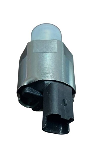 SAY Pİ YAKIT BASINÇ KONTROL REGÜLATÖRÜ A2C59506225