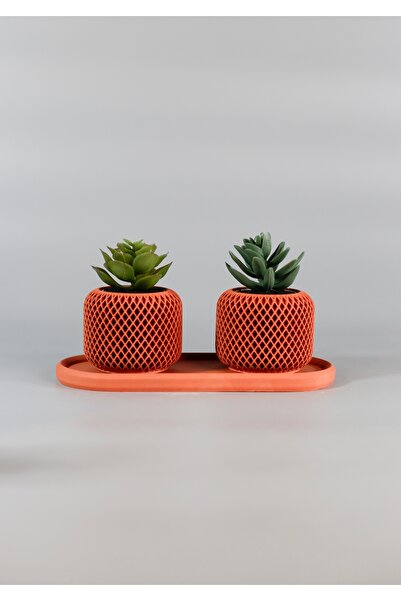 Lea Concept Premium El Yapımı Beton Terracota Sukulent Saksı Seti