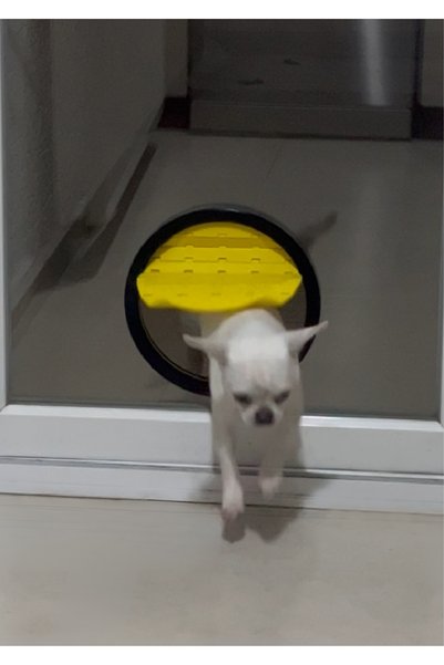 DEOZ3D Pvc and Glass Door Compatible Accordion Cat Dog Door – Pet Passage Door