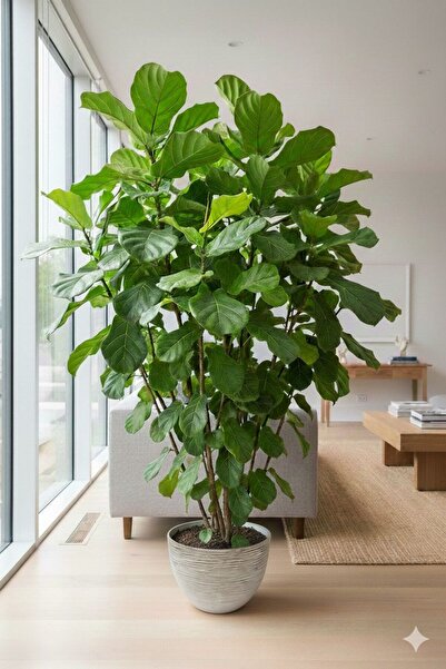 Noor Round plant pot (pot), elegant design, white with gold stripes, 23*30