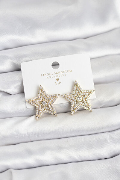 Lisinya Gold Color Brass Zircon Stone Star Model Women's Earrings - Tygoo