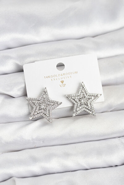 Lisinya Silver Color Brass Zircon Stone Star Model Women's Earrings - Tygoo