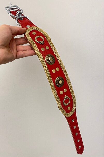 Sürmeli Tasma Puppy Kangal Dog Collar Genuine Leather Red 60 cm 1St Classroom