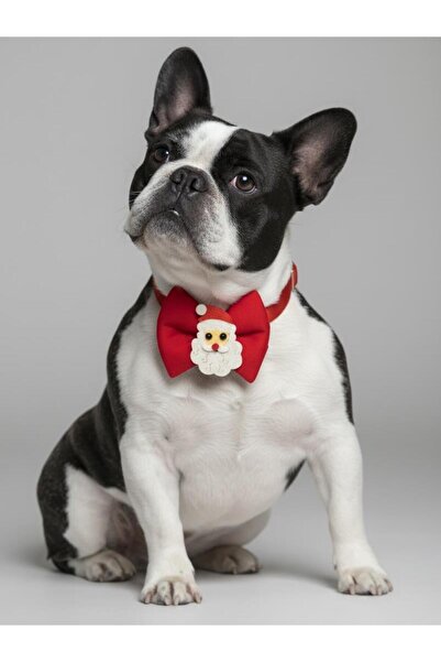 Kemique طوق رودولف للكلاب مع ربطة عنق |   إكسسوار رقبة على شكل فيونكة حمراء |...