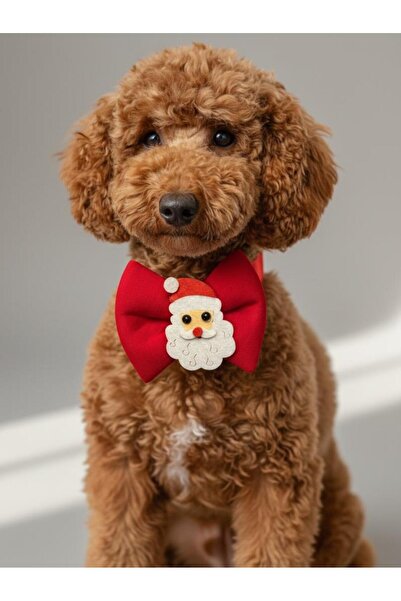 Kemique طوق كلب صغير من سلالة رودولف مع ربطة عنق |   إكسسوار رقبة على شكل فيو...