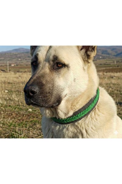 Kozak طوق كلب مطرز يدويًا من نوع Big Breed، الطول 85 سم، العرض 5 سم