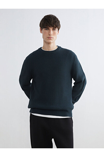 LC Waikiki سترة تريكو رجالية برقبة دائرية (W5)