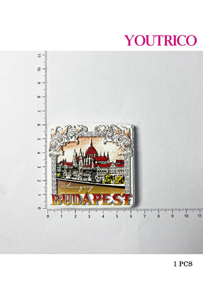 Youtrico قطعة واحدة من ملصقات مغناطيس الثلاجة ثلاثية الأبعاد المصنوعة من الرا...