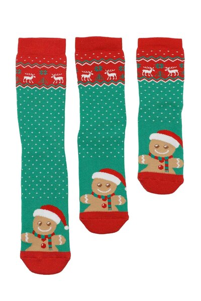 lumberjack NY SNOW 3 LU SKT-W 5PR Yeşil Unisex 3'lü Havlu Soket