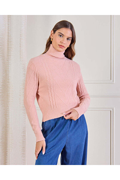 REDTAG Women Pink Knitted Sweater