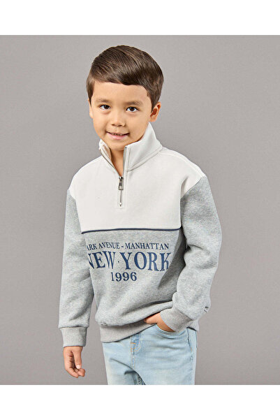 REDTAG Boys Grey Printed Sweatshirt