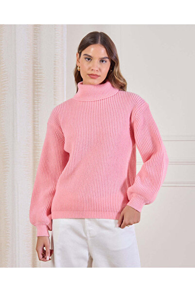 REDTAG Women Pink Knitted Sweater