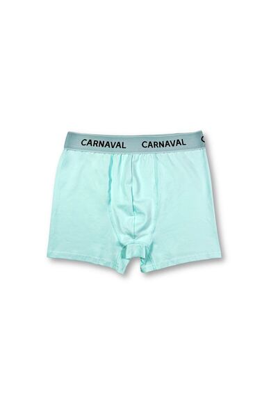CARNAVAL SOCKS Carnaval Mint Green Premium Cotton Men's Boxer