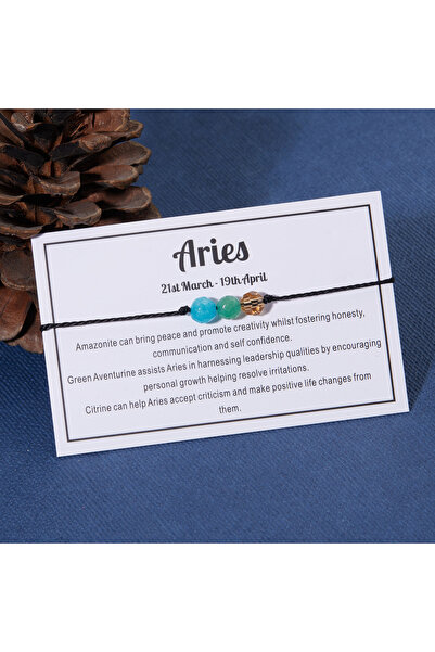 Choice BR22Y0183-1 Fashion 12 Constellation Crystal Beads Bracelets for Women Men Handmade Braided Rope Zod