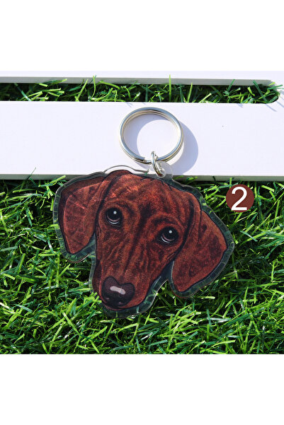 Choice 10 cm F494 1 piece acrylic cute pets dachshund dog keychain bags charm...