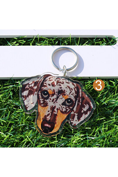 Choice 10 cm F495 1 piece acrylic cute pets dachshund dog keychain bags charm...