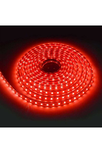 ORBUS ŞEFFAF LED HORTUM RED 120 LED 8W FİŞLİ IP65