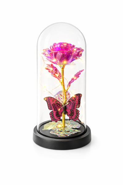 OEM Plastic dome with pink rose and decorative LED butterfly gift box included 20 cm height 11 cm diame