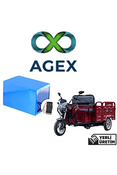 agex enerji Falcon Family 8000 Moped 72 Volt 30 Ah LiFePO4 Batarya