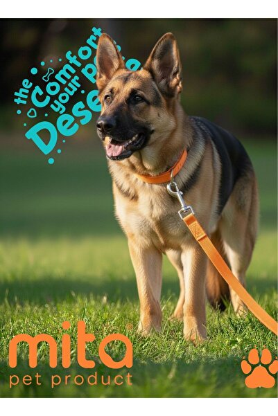 MITA طقم من قطعتين من طوق الكلب القابل للتعديل وحزام التنقل باللون البرتقالي