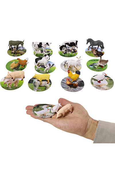 JPT Figurină educativă cu animale de fermă și cărți, preț per bucată