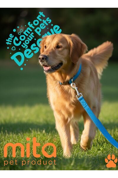 MITA طقم من قطعتين من طوق الكلب القابل للتعديل وحزام المشي باللون الفيروزي