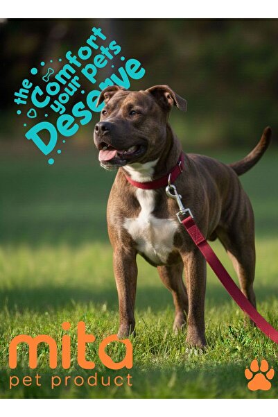 MITA Set of 2 Adjustable Dog Collar and Leash Red