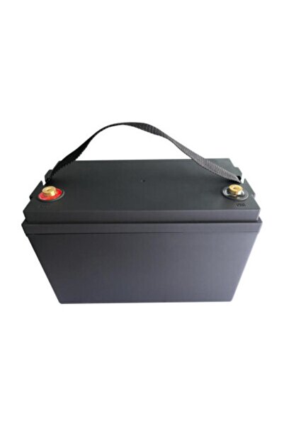 agex enerji Zanon Carbonium Zeytin Silkme Makinası Uygun 12 Volt 60 Amper Lif...