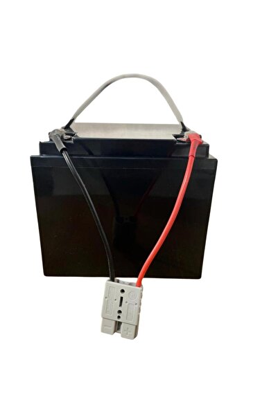 agex enerji CASTELLARI Tornado Carbon L V3 Zeytin Silkeleme makinası Lifepo4 ...