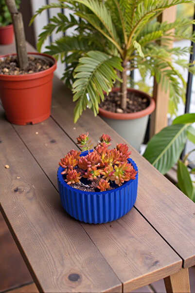 MORF Design Prisma Serisi - Renkli Mini Beton Saksı (Delikli)