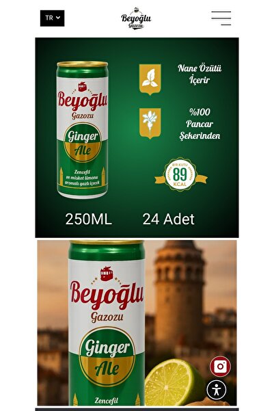 Beyoğlu Gazoz Ginger Ale 250 Ml X 24 Adet
