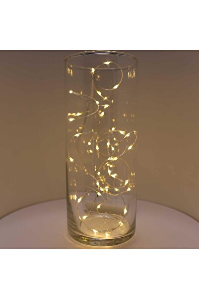 FYNDO 40 LED Silver Wire Fairy Lights, 195cm Battery Operated String Lights for Home Décor