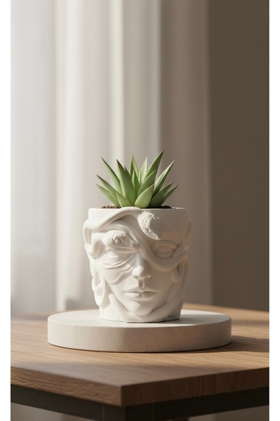 ZEROXO Medusa Saksı ve Kalemlik - Çok Amaçlı Dekoratif Sukulent Saksısı ve Ka...