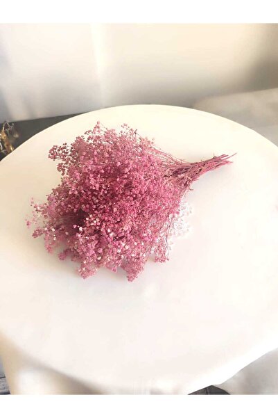 Birlik Cipso Şoklanmış Açık Pembe