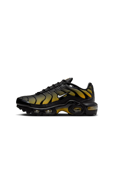 nike tn shoe