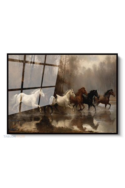 tablonhazır Çerçeveli Yatay Cam Tablo Salon Duvar Tablosu Yatay Cam 5At Yeni ...