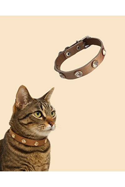 GOLD BE Stylish and Safe 27 cm Cat Collar – Bell & Stone Design