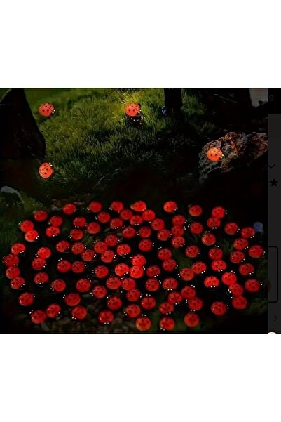 Yerli Mini Uğur Böceği Teraryum Süsü – 10’lu Set