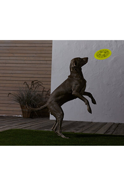 Tchibo Köpekler İçin Frizbi